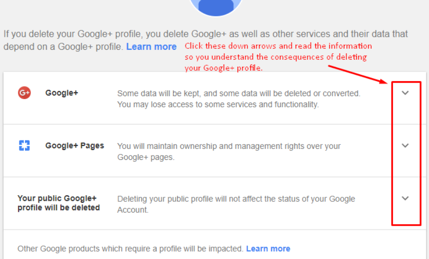 Delete your Google+ profile